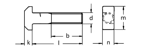 DIN 188 T-Head Bolt With Double Nib